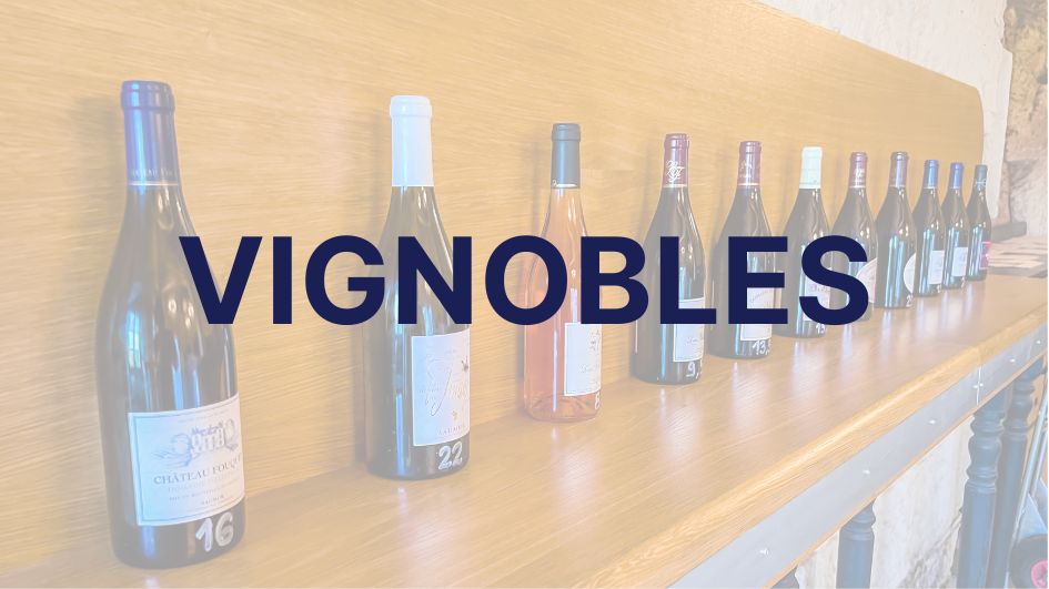 vignobles et vins de Loire section
