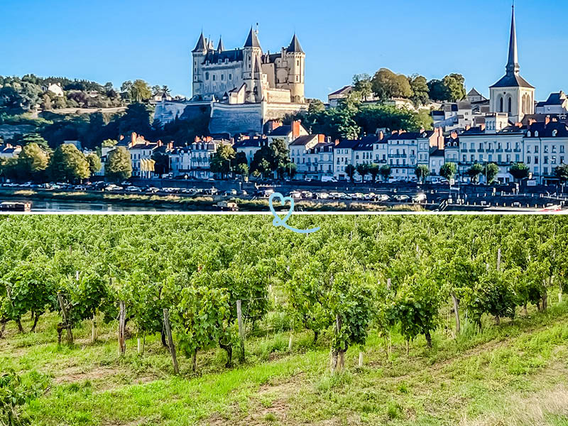 pourquoi aller saumur