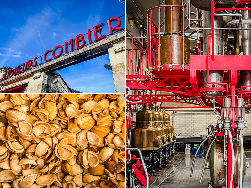 Visitare la Distilleria Combier Saumur