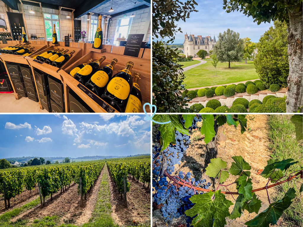 Entdecken Sie unsere Auswahl der besten Touren auf der Loire-Weinstraße: unsere praktischen Tipps, Empfehlungen und Fotos.