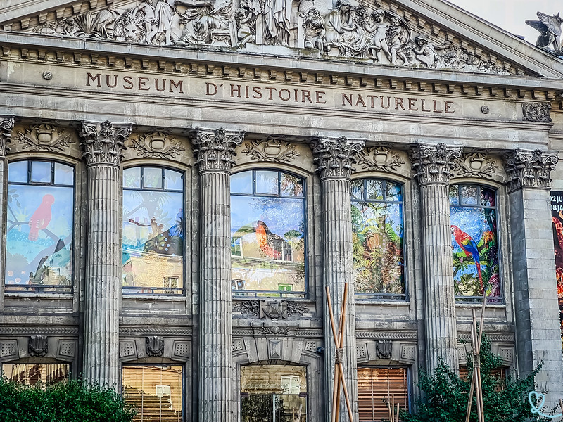 Besuch des Museums für Naturgeschichte in Nantes