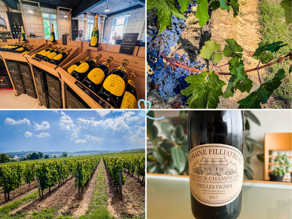 Descubra nuestra selección de las mejores catas de vino del Loira con visitas a bodegas y viñedos (consejos, recomendaciones y fotos).