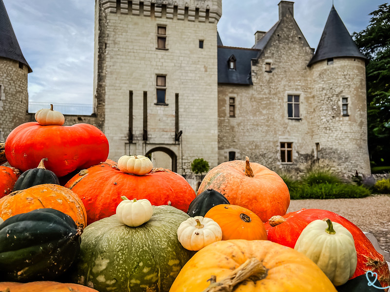 Kastelen in de Loire vallei in de herfst
