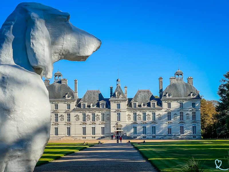 kastelen van de loire met honden