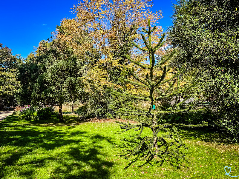 botanical garden tours